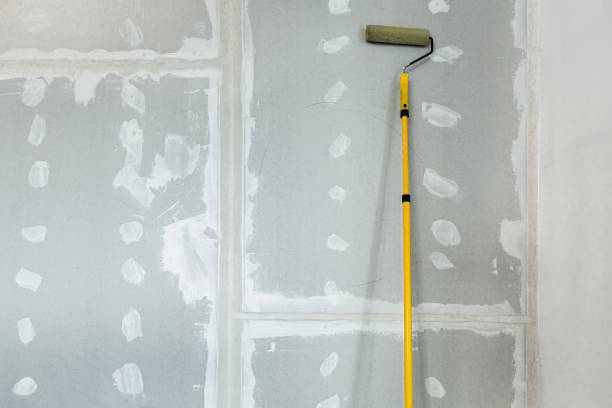 Best Indoor Air Quality Assessment  in Line Acres, MO