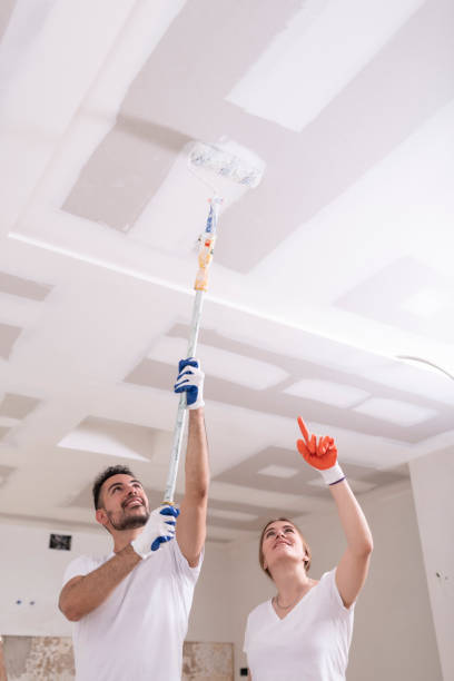 Best Mold Prevention Services  in Line Acres, MO