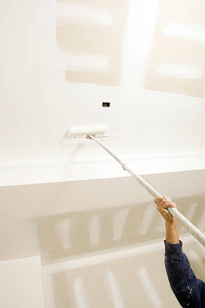 Best Mold Odor Removal Services  in Line Acres, MO