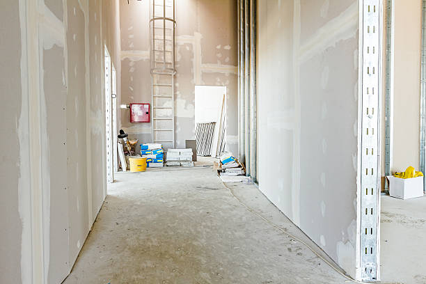 Environmental Consulting for Mold Prevention in Moline Acres, MO