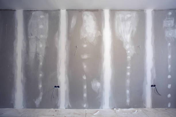 Best Post-Construction Mold Inspection  in Line Acres, MO